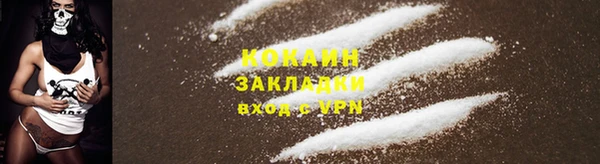 прущие грибы Володарск