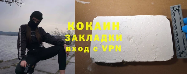 прущие грибы Володарск