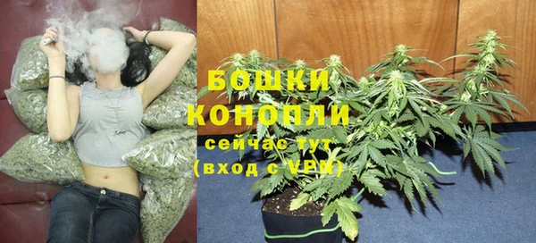 прущие грибы Володарск