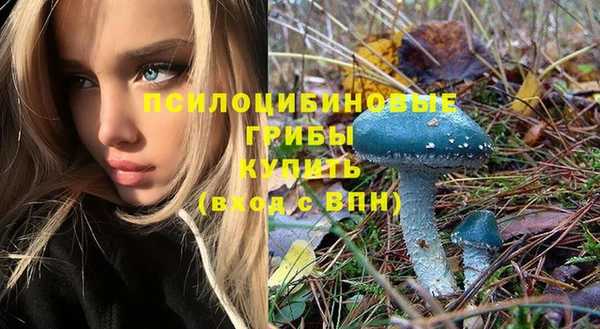 герыч Волоколамск