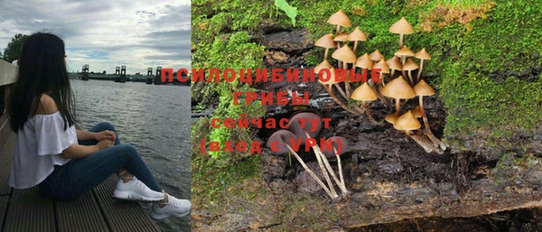 прущие грибы Володарск